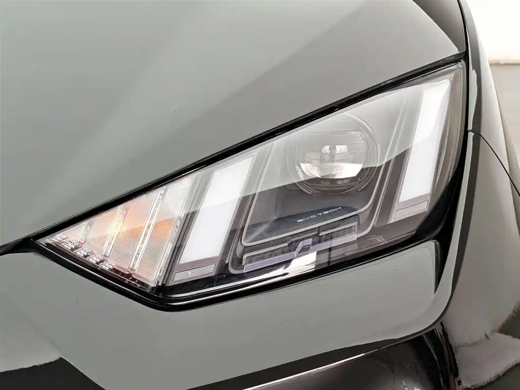 BYD Seagull 2024