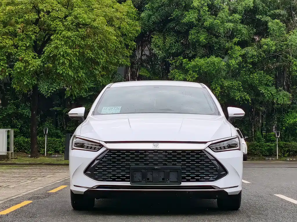 BYD Qin PLUS 2024 — фото 2