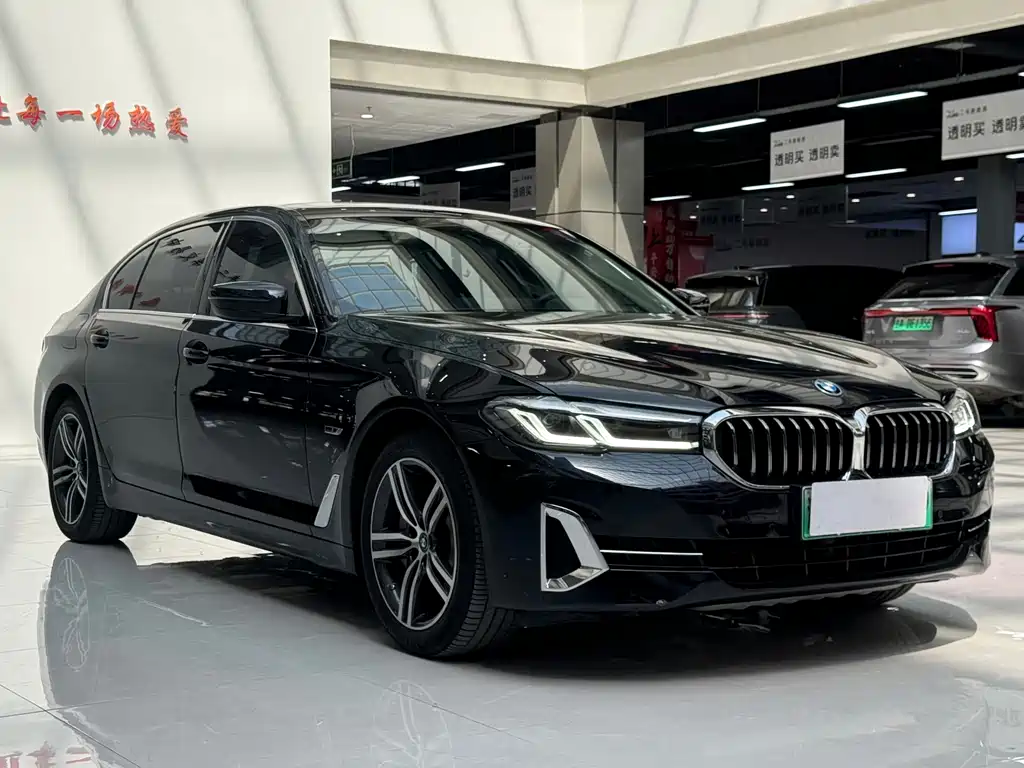 BMW 5 Series New Energy 2022