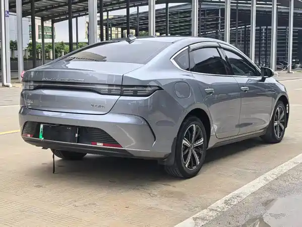 BYD Destroyer 05 2024