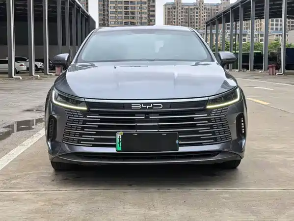 BYD Destroyer 05 2024