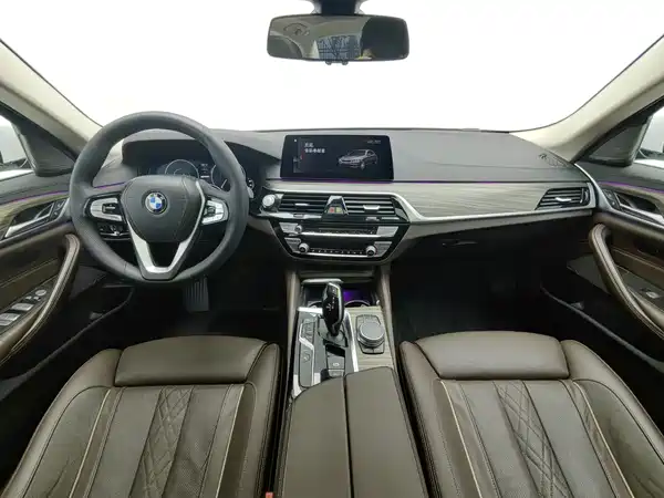 BMW 5 Series New Energy 2019