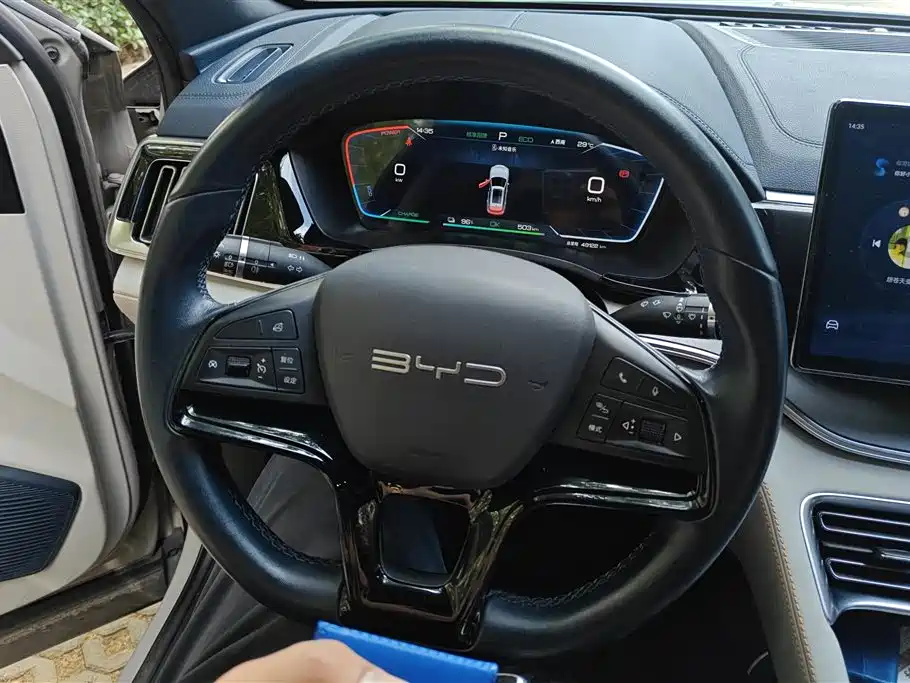 BYD PLUS New Energy 2024 — фото 15