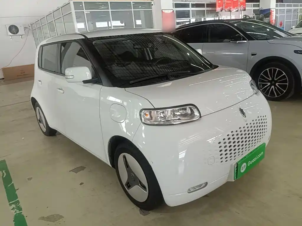 Ora White Cat 2021