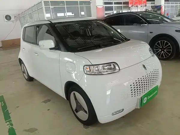 Ora White Cat 2021