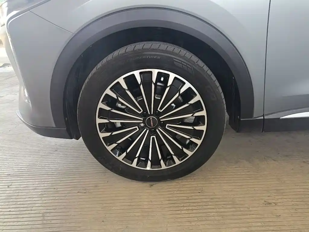 Exeed Yaoguang C-DM 2024 — фото 23