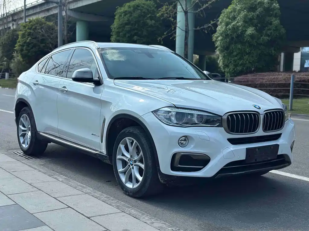 BMW X6 2018 — фото 8