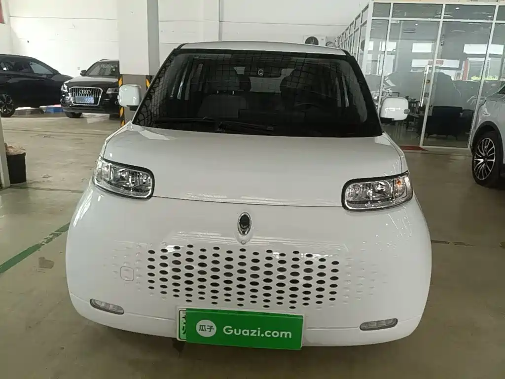 Ora White Cat 2021