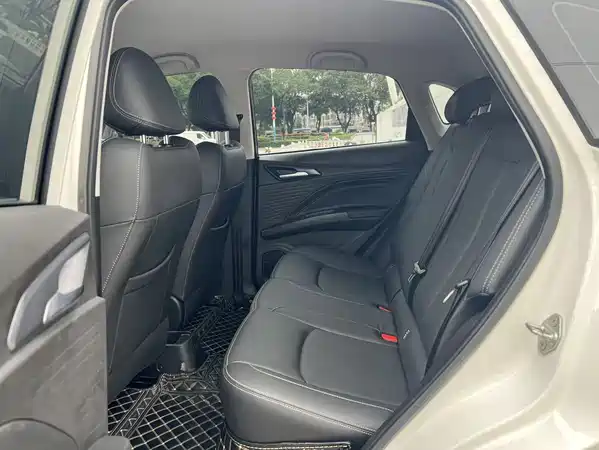 Neta V 2021