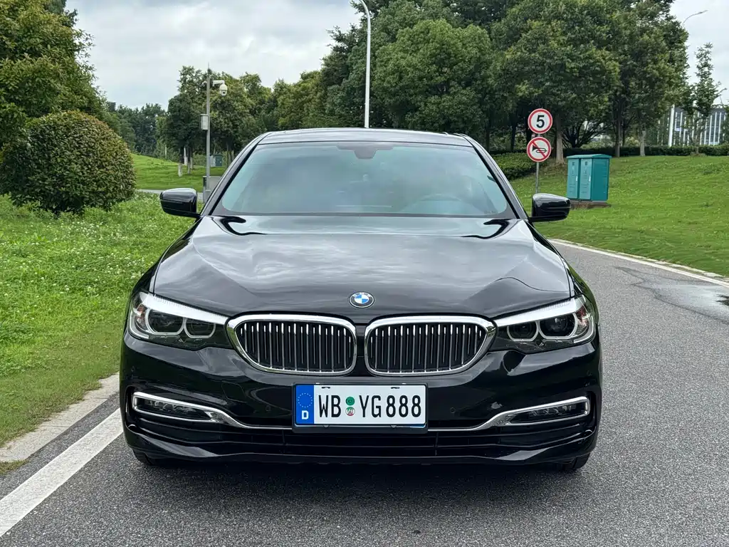 BMW 5 Series 2019