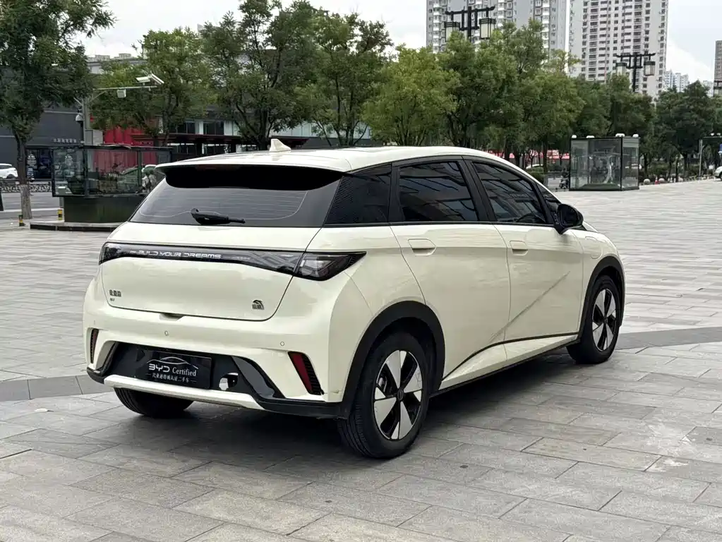 BYD Dolphin 2023 — фото 19