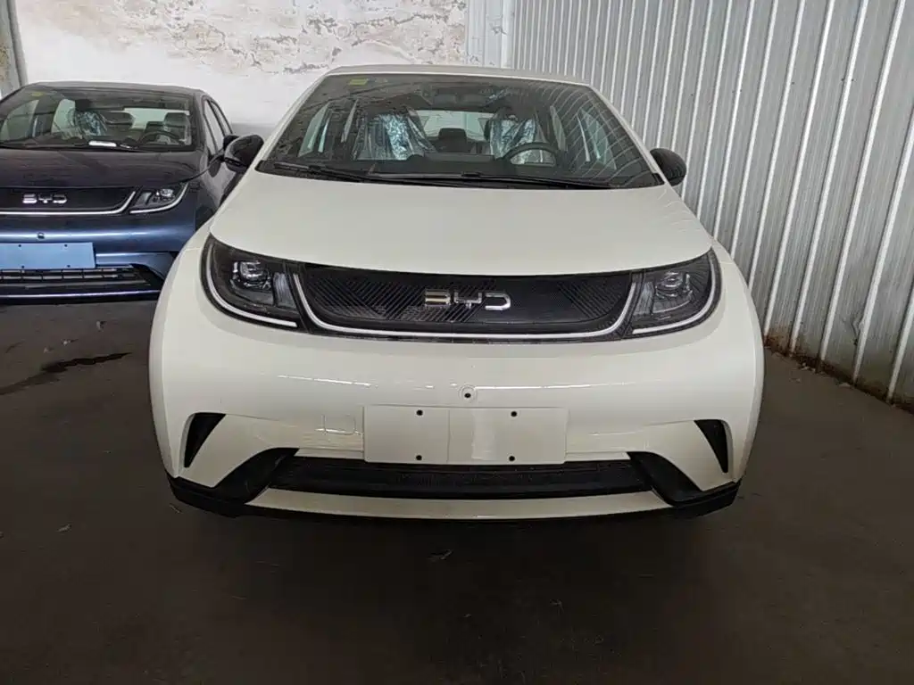 BYD Dolphin 2026
