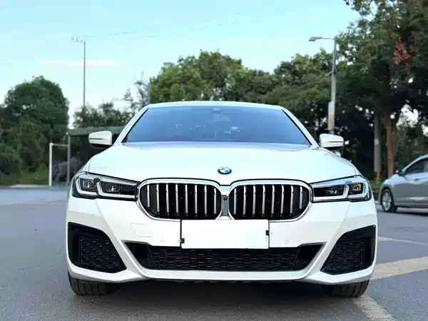 BMW 5 Series 2020