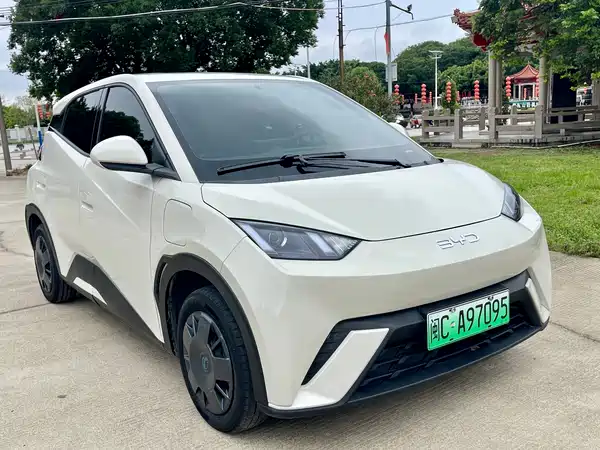 BYD Seagull 2024