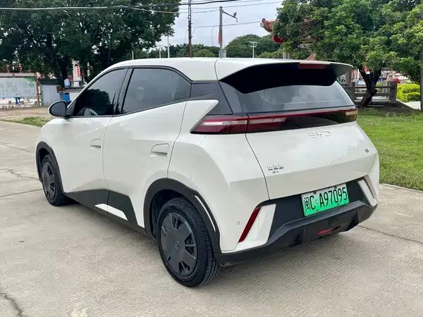 BYD Seagull 2024