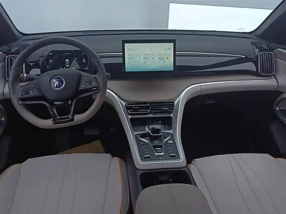 BYD Pro New Energy 2024 — фото 12