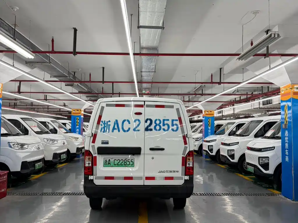JAC Bluecat 2024