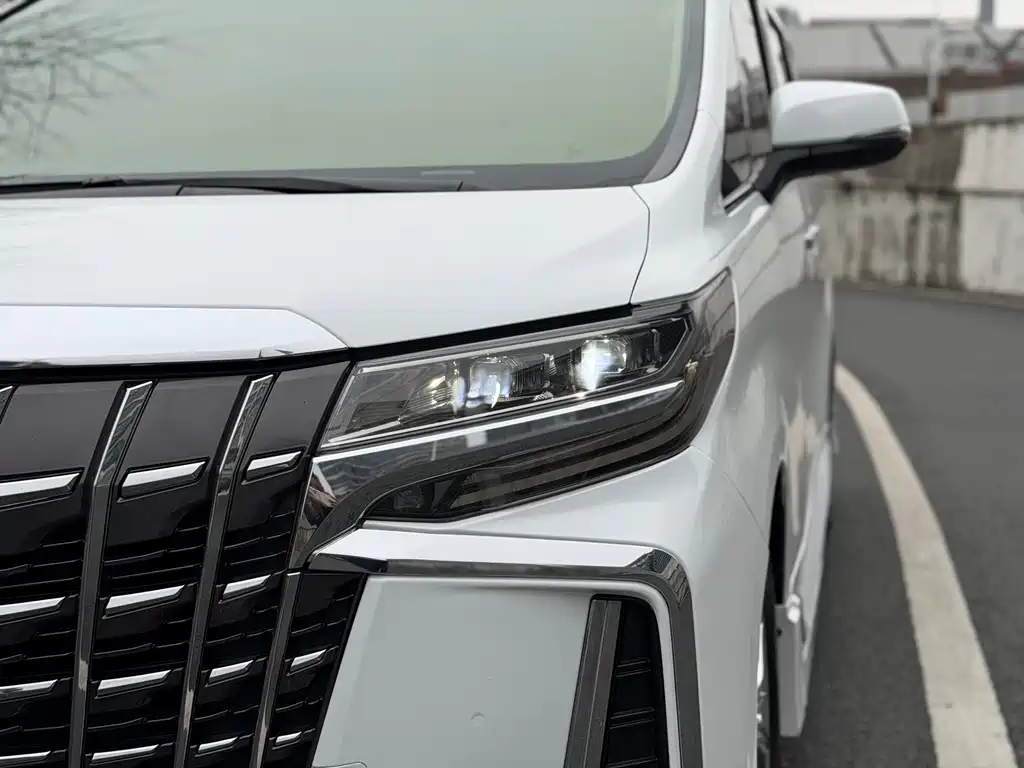 Toyota Alphard 2019 — фото 10