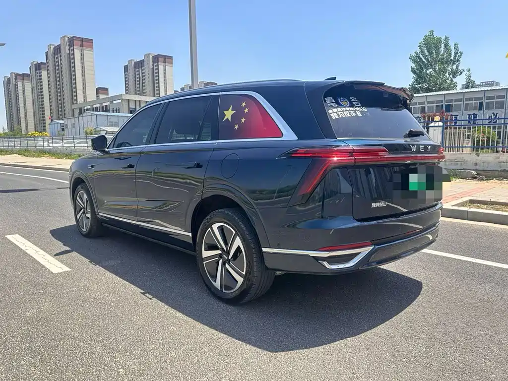 Wey Lanshan 2024