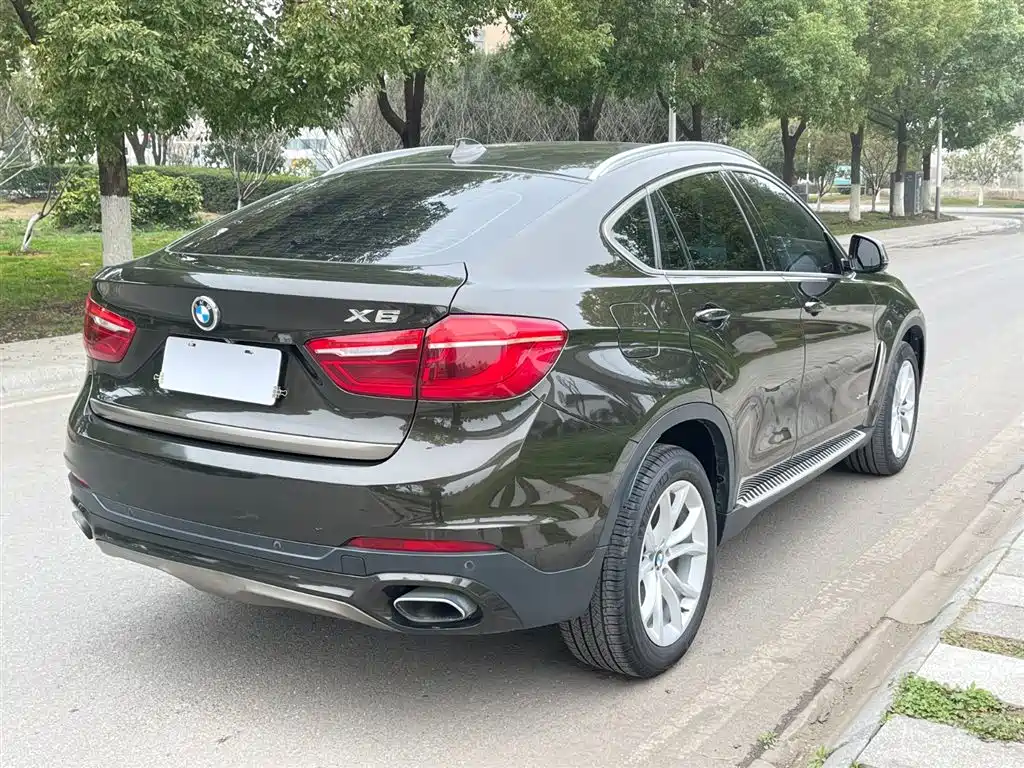 BMW X6 2018 — фото 7