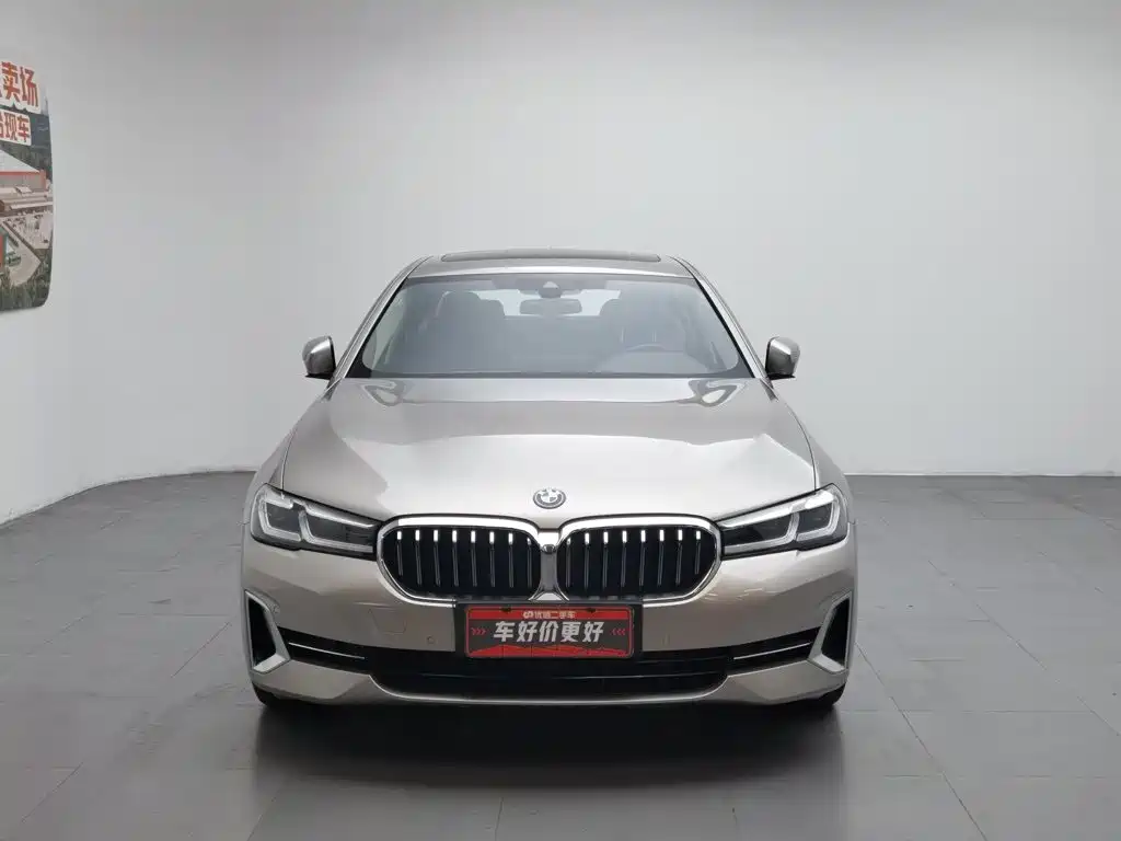 BMW 5 Series New Energy 2021