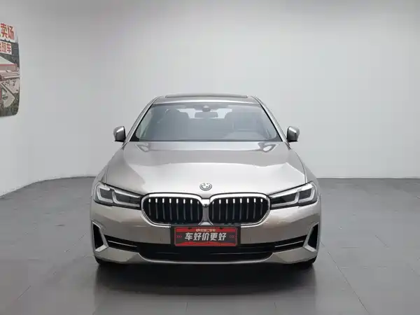 BMW 5 Series New Energy 2021