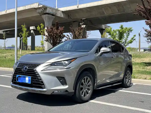 Lexus NX 2020