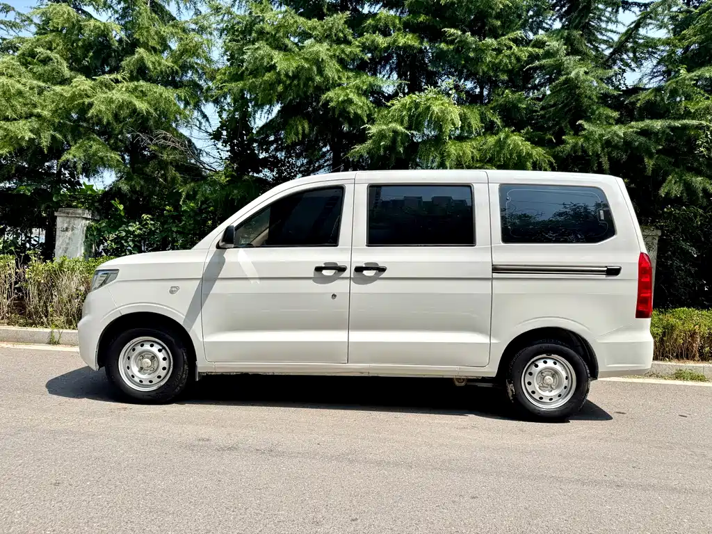 Wuling Hongguang V 2019