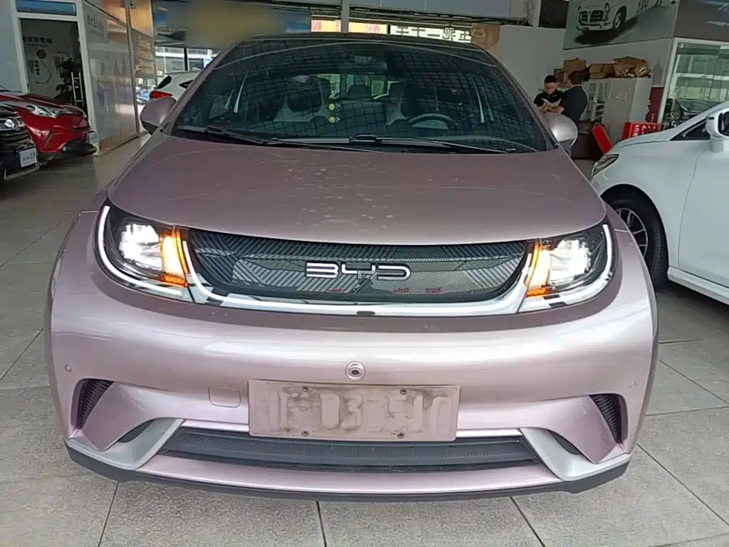 BYD Dolphin 2024