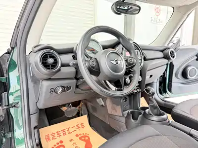 MINI MINI 2015