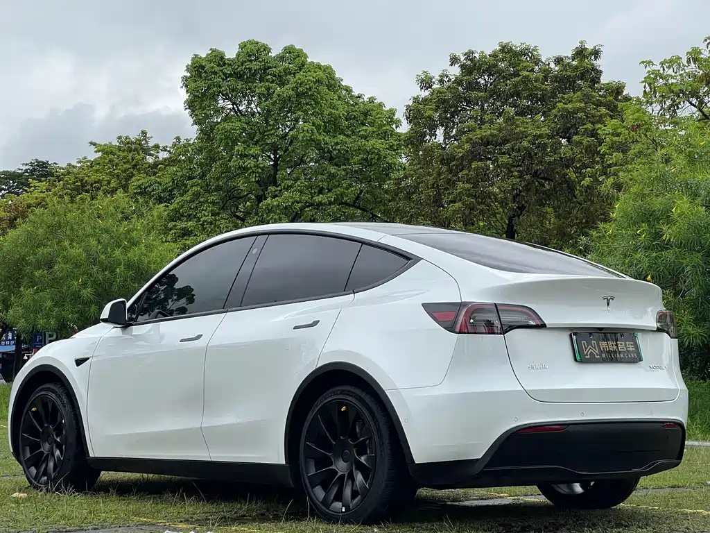 Tesla Model Y 2023 — фото 4