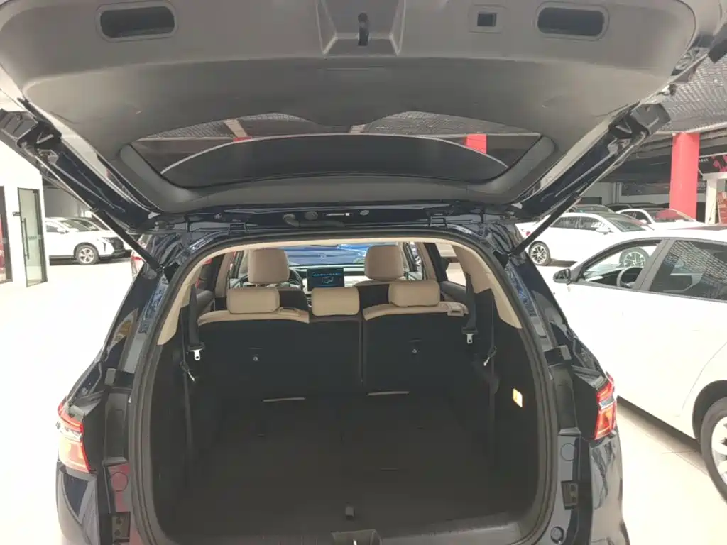 BYD Song MAX New Energy 2022 — фото 19