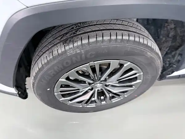 Toyota Wildlander 2023