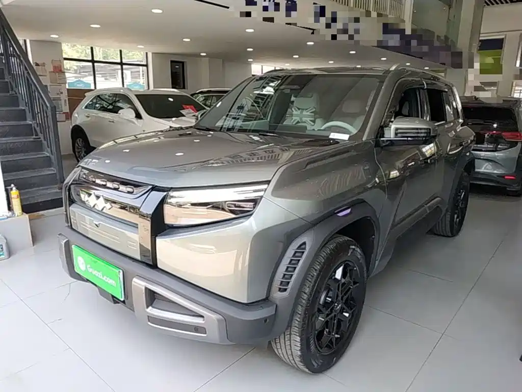 Fang Cheng Bao Titanium 3 2025