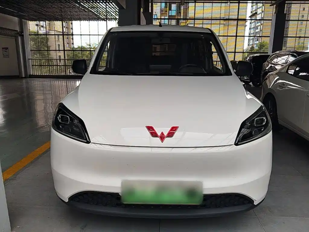 Wuling Hongguang New Energy 2024
