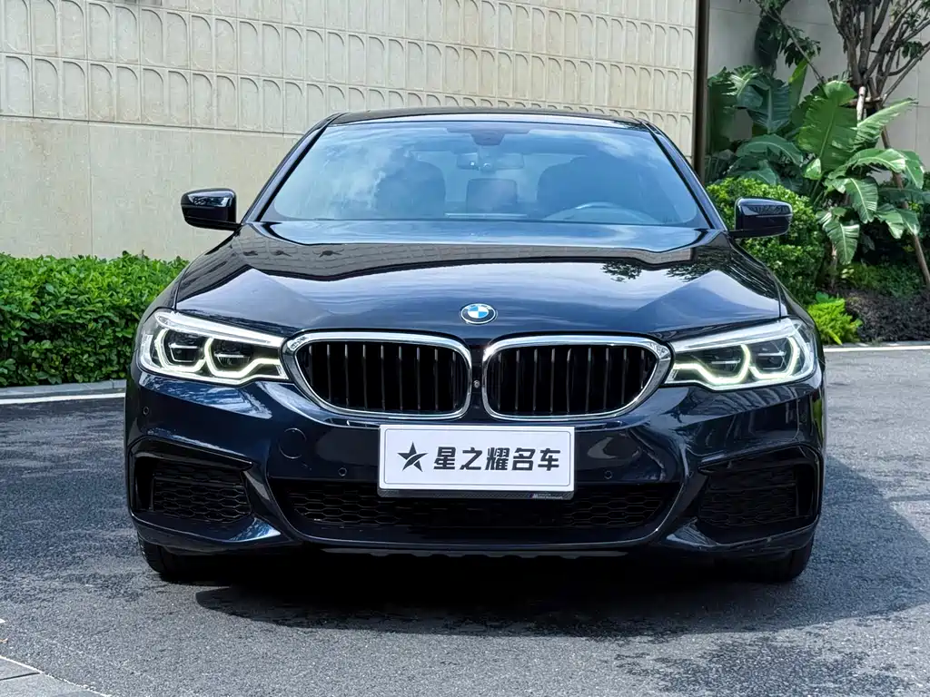 BMW 5 Series 2019 — фото 2
