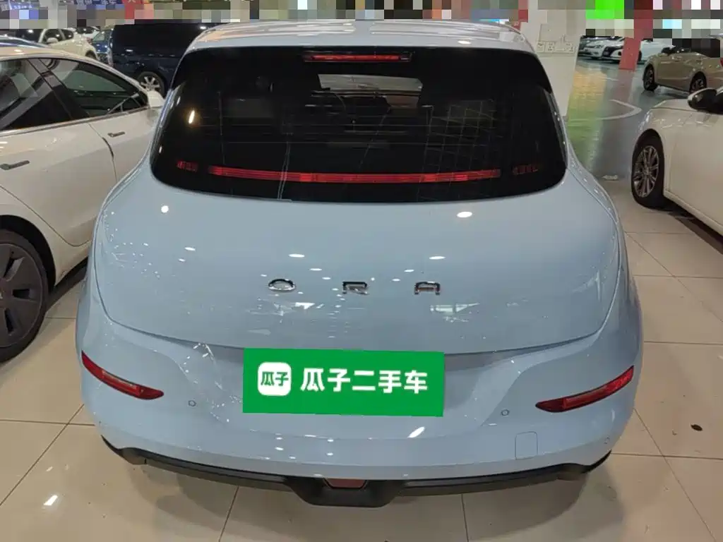 Ora Good Cat 2024