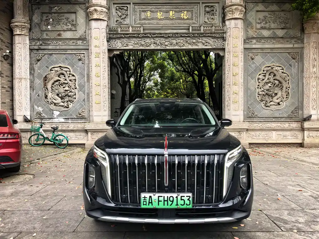 Hongqi HS7 PHEV 2024 — фото 5