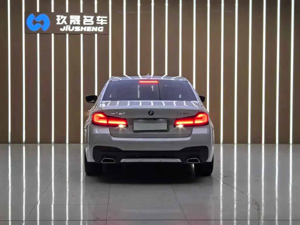 BMW 5 Series New Energy 2021 — фото 18