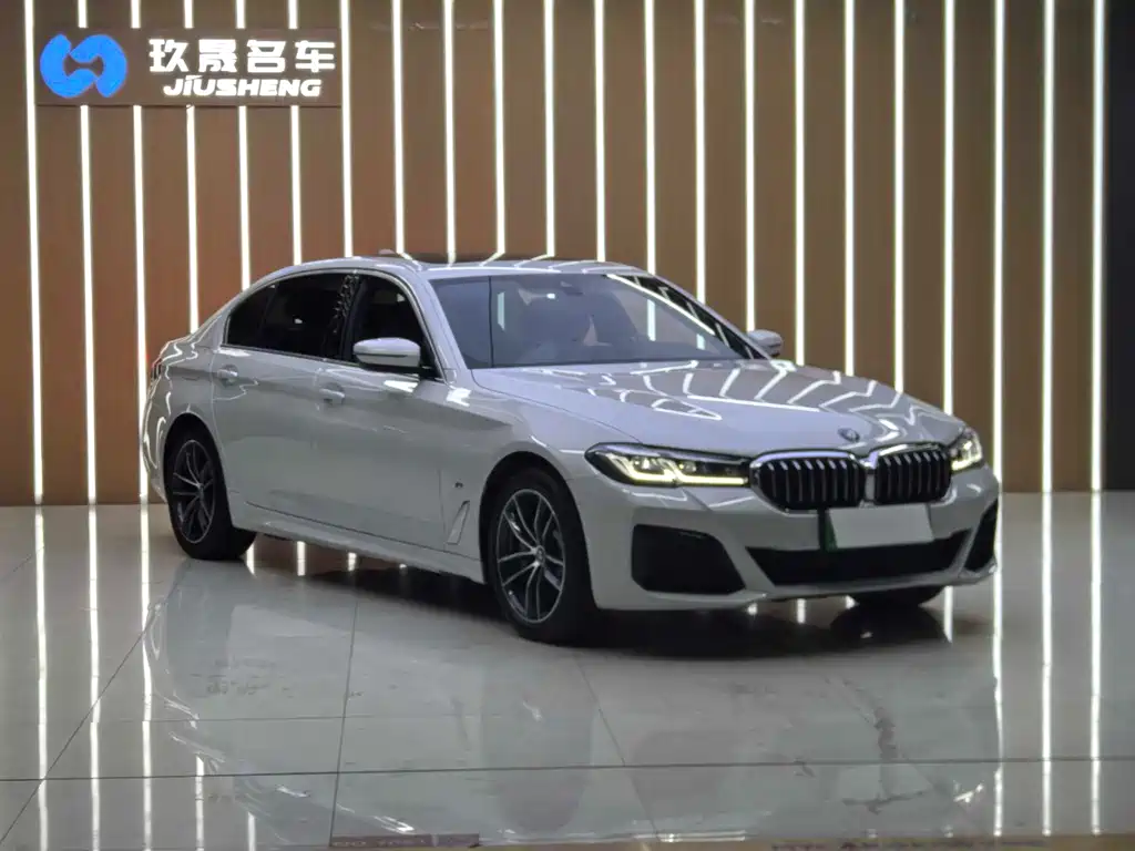 BMW 5 Series New Energy 2021