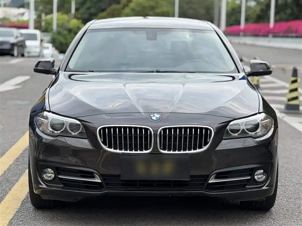 BMW 5 Series 2014 — фото 25