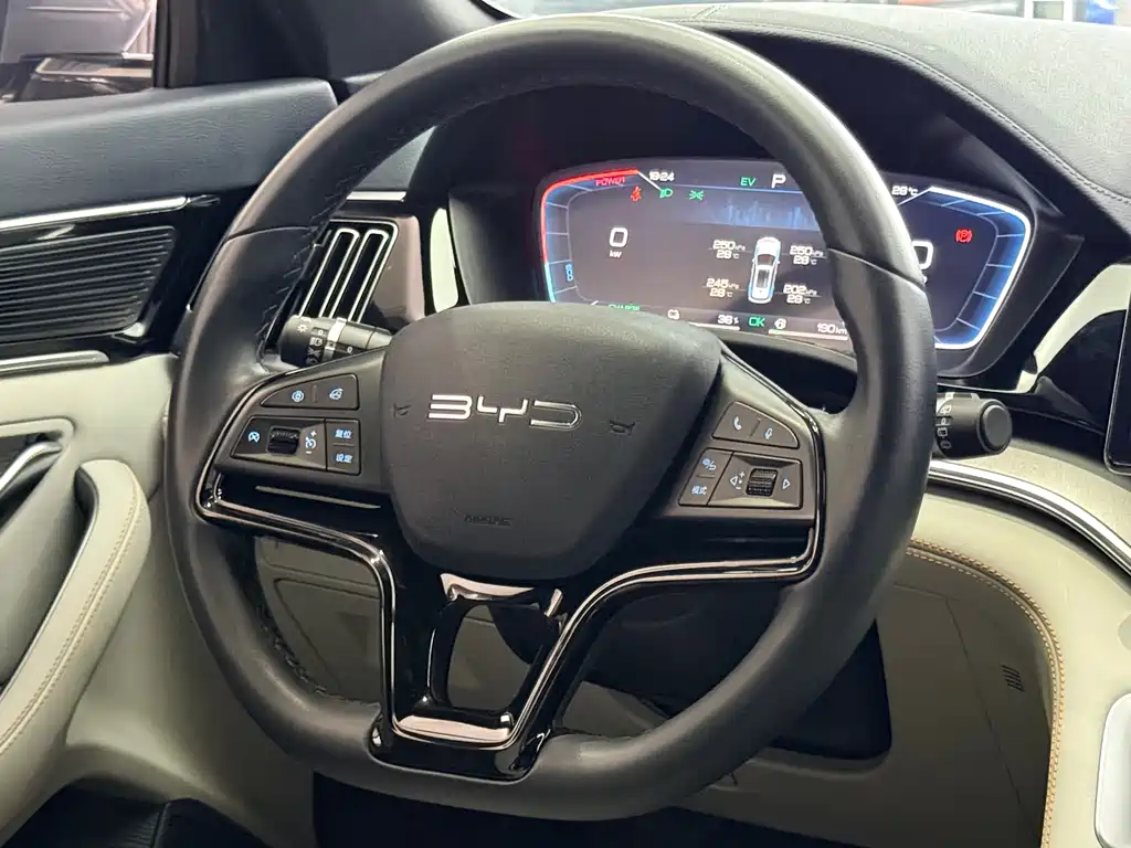BYD PLUS New Energy 2024 — фото 12