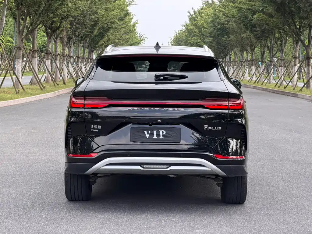 BYD PLUS New Energy 2025 — фото 14