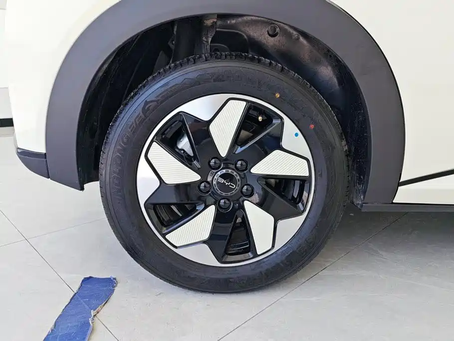 BYD Dolphin 2026