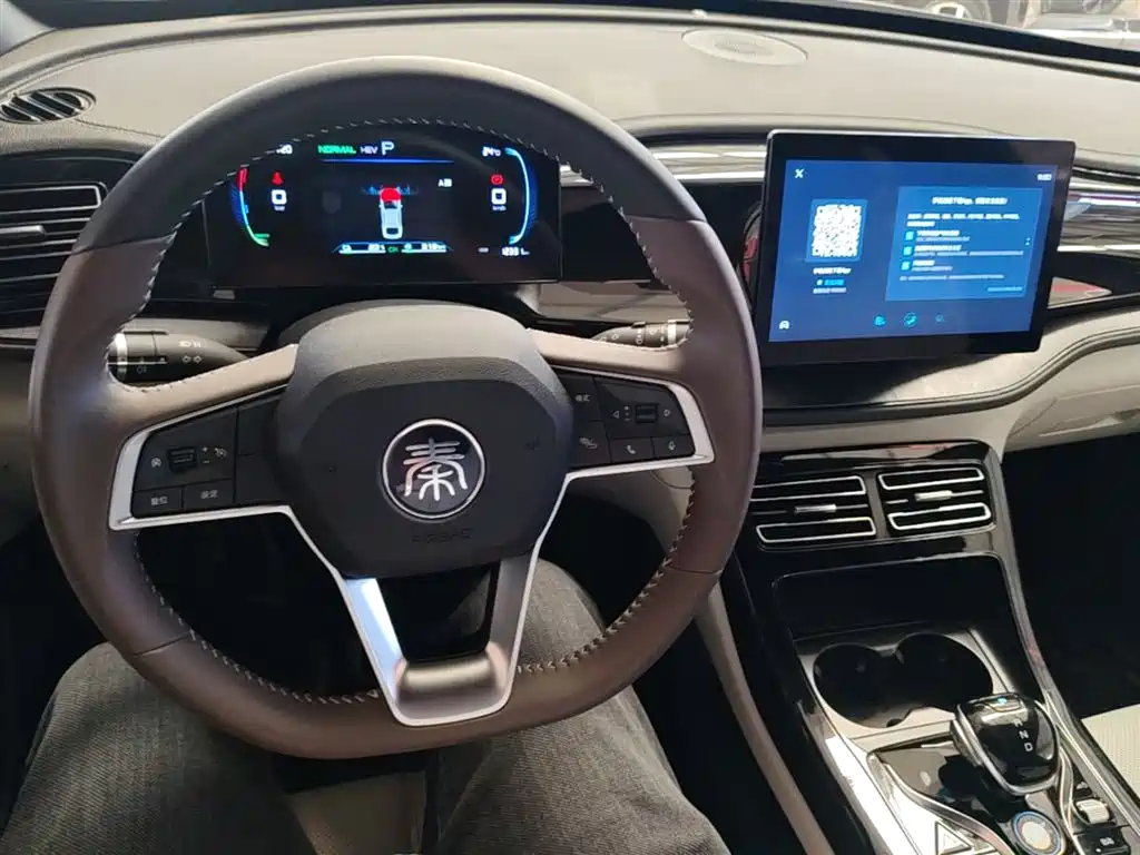 BYD Qin PLUS 2024 — фото 10