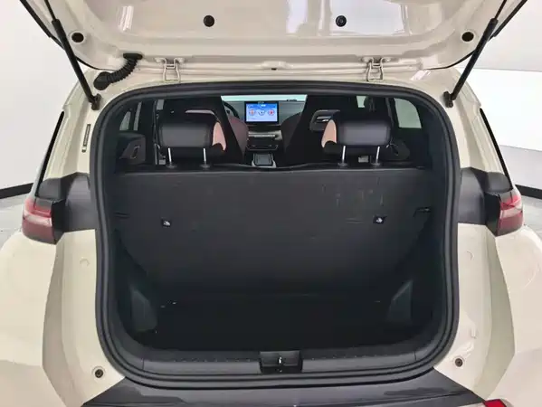 BYD Seagull 2024