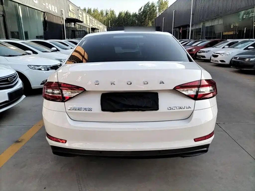 Skoda Octavia 2019