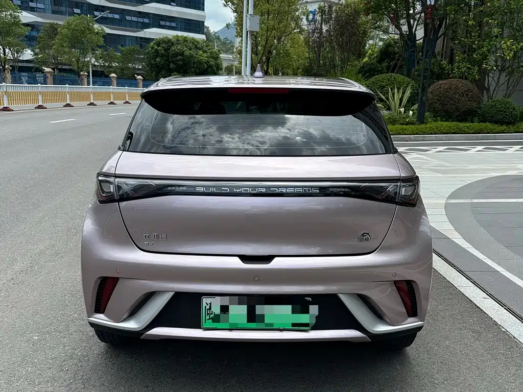 BYD Dolphin 2022
