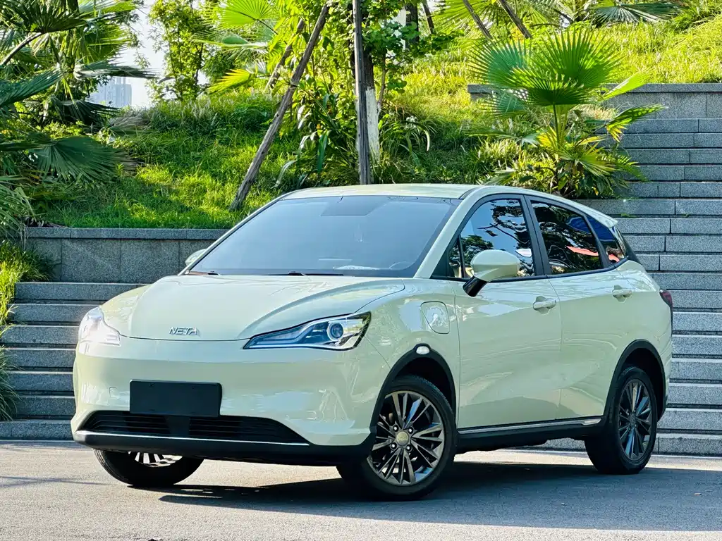 Neta V 2022