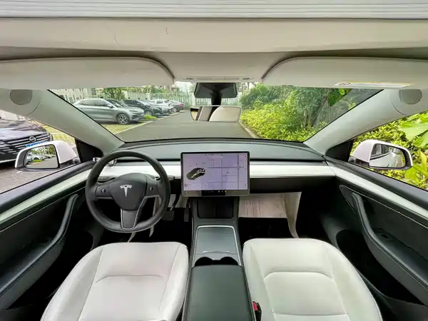 Tesla Model Y 2021